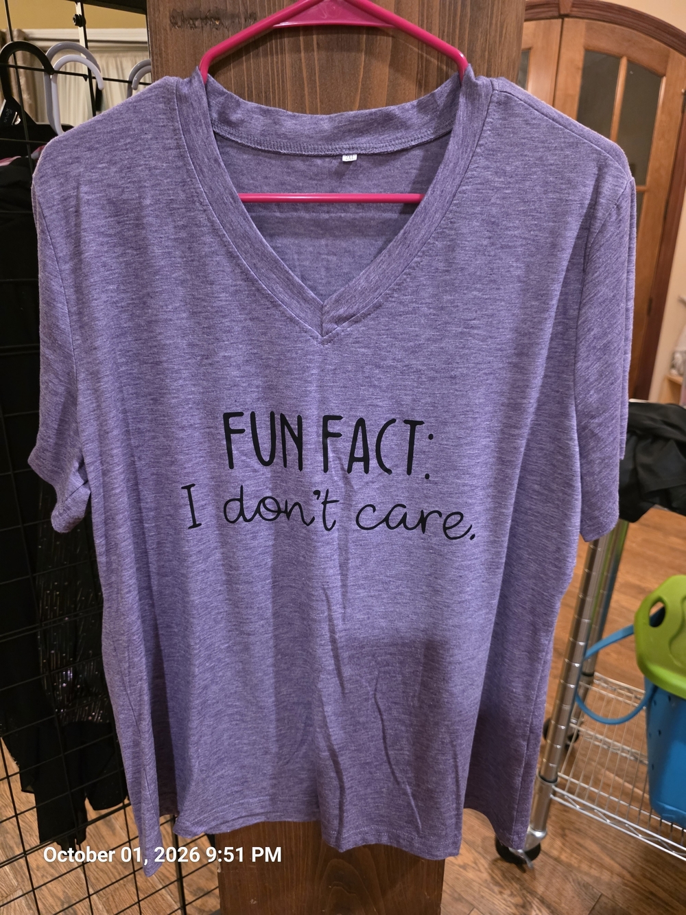 Purple 'Fun Fact: I don't care.' V-Neck Woman's Tee 2XL